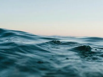 Autumn Equinox Letting Go Meditation And Breath Practice