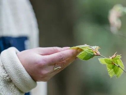 Autumn Equinox (Mabon) Mindful Nature Walk