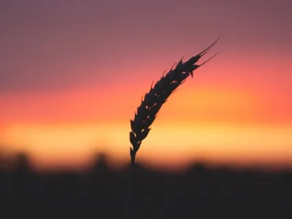 Autumn Equinox Meditation
