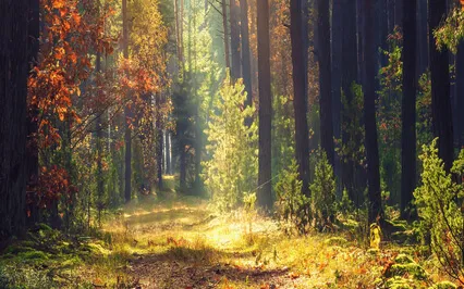 Autumn Equinox Meditation