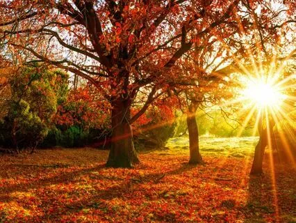 Autumn Equinox Meditation: Embracing Balance And Letting Go