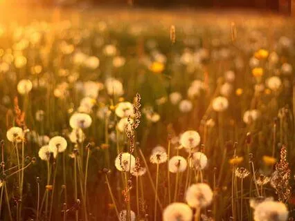 Autumn Equinox Meditation