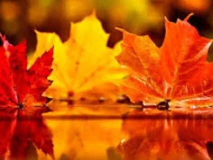 Autumn Equinox Meditation