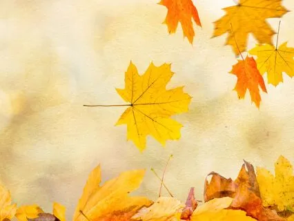 Autumn Equinox Meditation