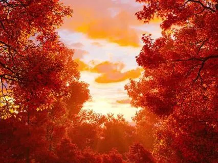 Autumn Equinox Reset: Find Balance, Energy, & Joy