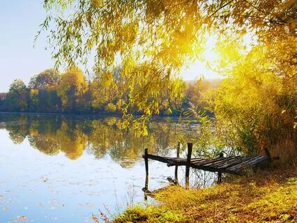 Autumn Evening