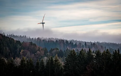 Autumn Forest Wind | Pure Nature Sounds