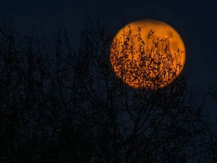 Autumn Glow (Longer Looped Version)