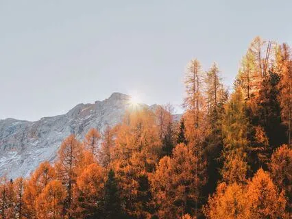 Autumn Gratitude Pranayama And Meditation