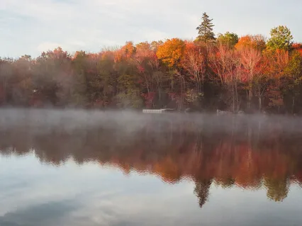 Autumn - Guitar & Cello (River Camille & The Wong Janice)