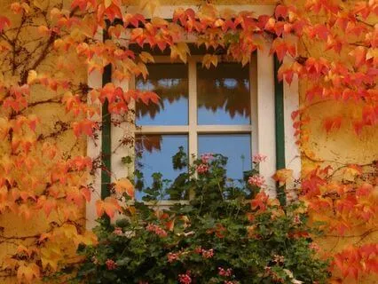 Autumn In The Forest Cottage