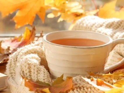 Ease Into Autumn  II | Yoga Nidra For Gratitude & Growth