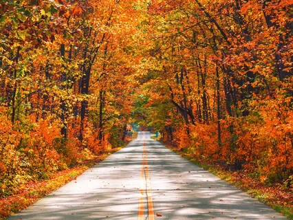 Autumn- Letting Go Into The Season