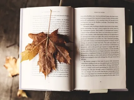 Autumn Love - Relaxing Piano, Flute & Birds In A Forest Set