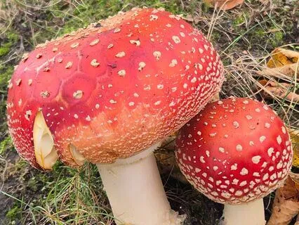 Autumn Meditation – Find Inner Calm In Times Of Change