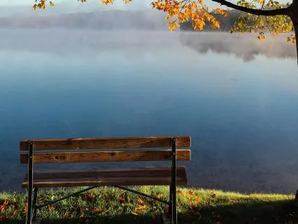 Autumn Meditation: Letting Go And Beginning Again