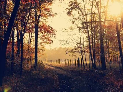 Autumn Meditation: Relax, Release, Retract- Nature Knows