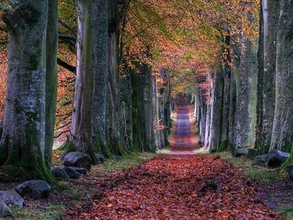 Autumn Meditation - The Art Of Noticing