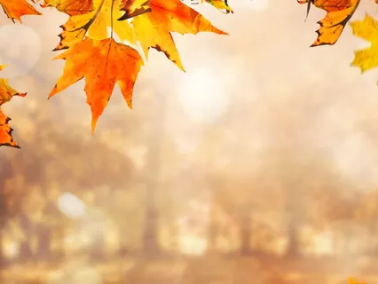 Autumn Mindfulness: Welcoming Change