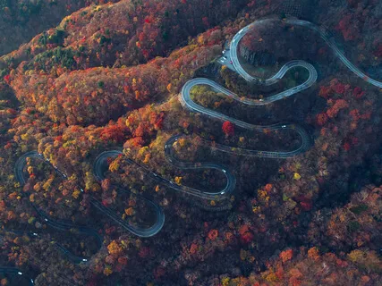 Autumn Natural Breathing Space 