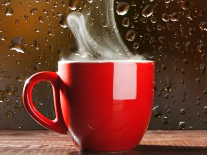 Autumn Night Cafe Ambience Soft Wind In The Trees