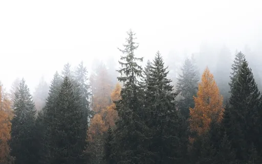 Autumn Night Relaxation- Piano & Rain