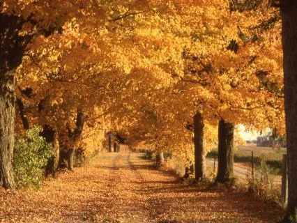 Autumn Prayers