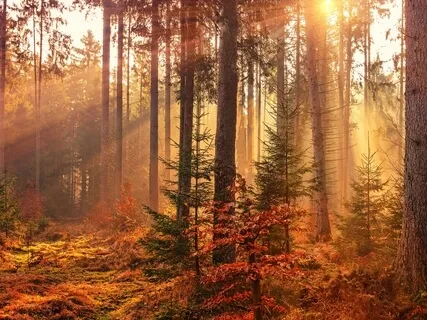 Autumn Reflection And Gratitude