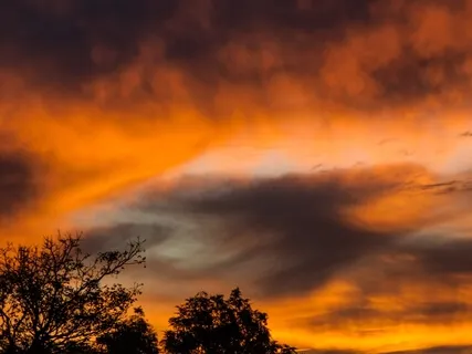 Autumn Relaxing Sleep