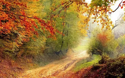 Autumn Release Short Guided Meditation