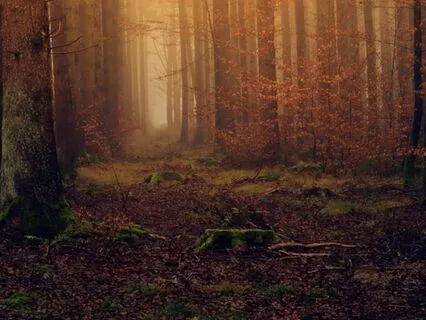 Autumn Serenity: A Cozy Balcony Sleep Journey