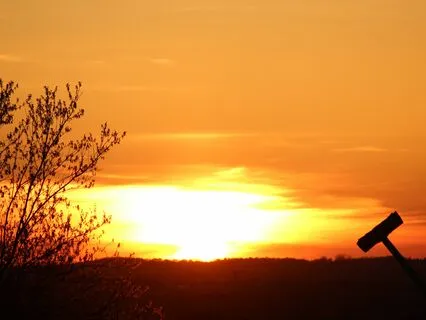 A Walk In The Forest To Clear Your Mind