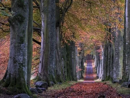 Autumn / Fall Practice And Visualization