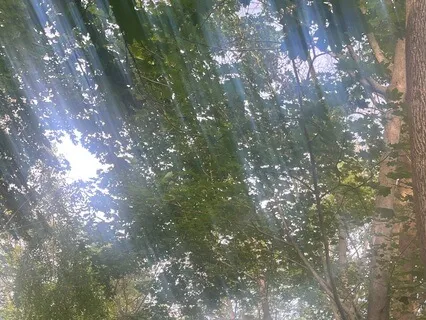 Autumn Sound Meditation