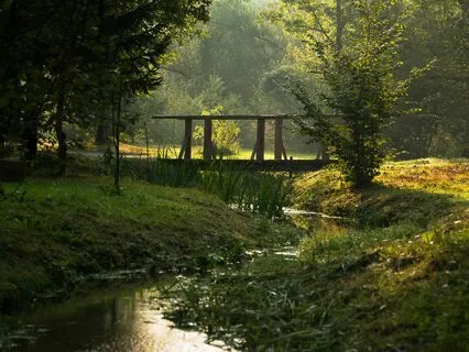 Autumn Walk In The Irish Countryside