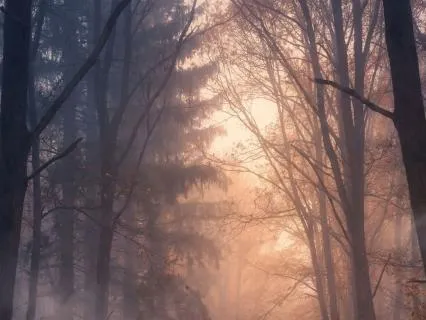 Autumn Wind and Leaves for Sleep