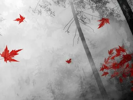 Autumn Wind