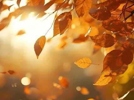 Autumn Yoga Nidra For Letting Go