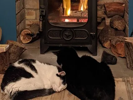 Autumn Yoga Nidra Guided Relaxation