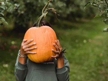 Autumnal Cozy Journey: Apple Orchards & Pumpkin Fields