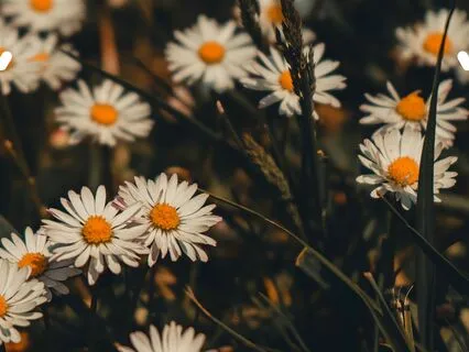 Autumnal Equinox Meditation