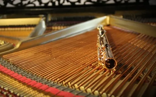 Ave Maria - Music Without Limits - Music Makes You Free