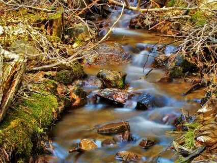 Avonlea At Night - Mrs. Lynde Is Surprised, A Sleep Story