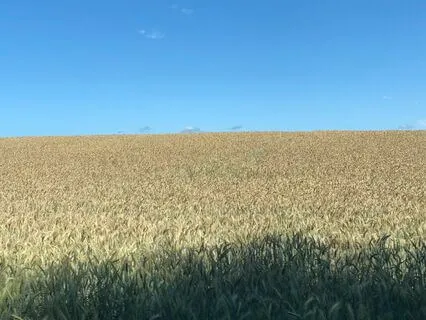 Avslappning & Tacksamhet för en högre vibration