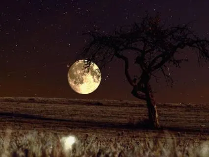Awake Again? You Don't Have To Follow Your Thoughts