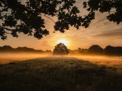 Awake III - rusten in wat er al is