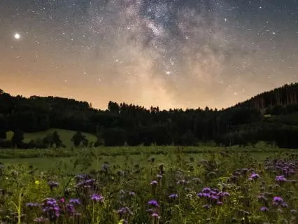 Awake In The Middle Of The Night: Let Yourself Be Held
