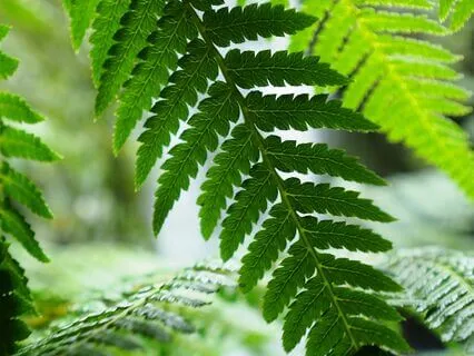 Meditation & Mindfulness For Creative Moments