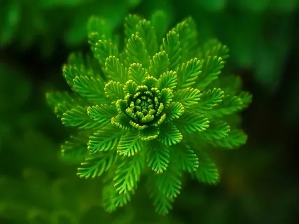 Awaken From Self-Talk