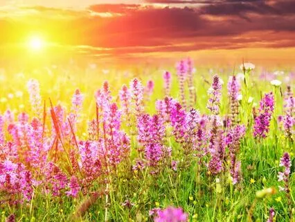 Awaken Gently: Morning Yoga Nidra